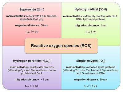 The Significance of Reactive Oxygen Species and Antioxidant Defense System in Plants: A Concise Overview